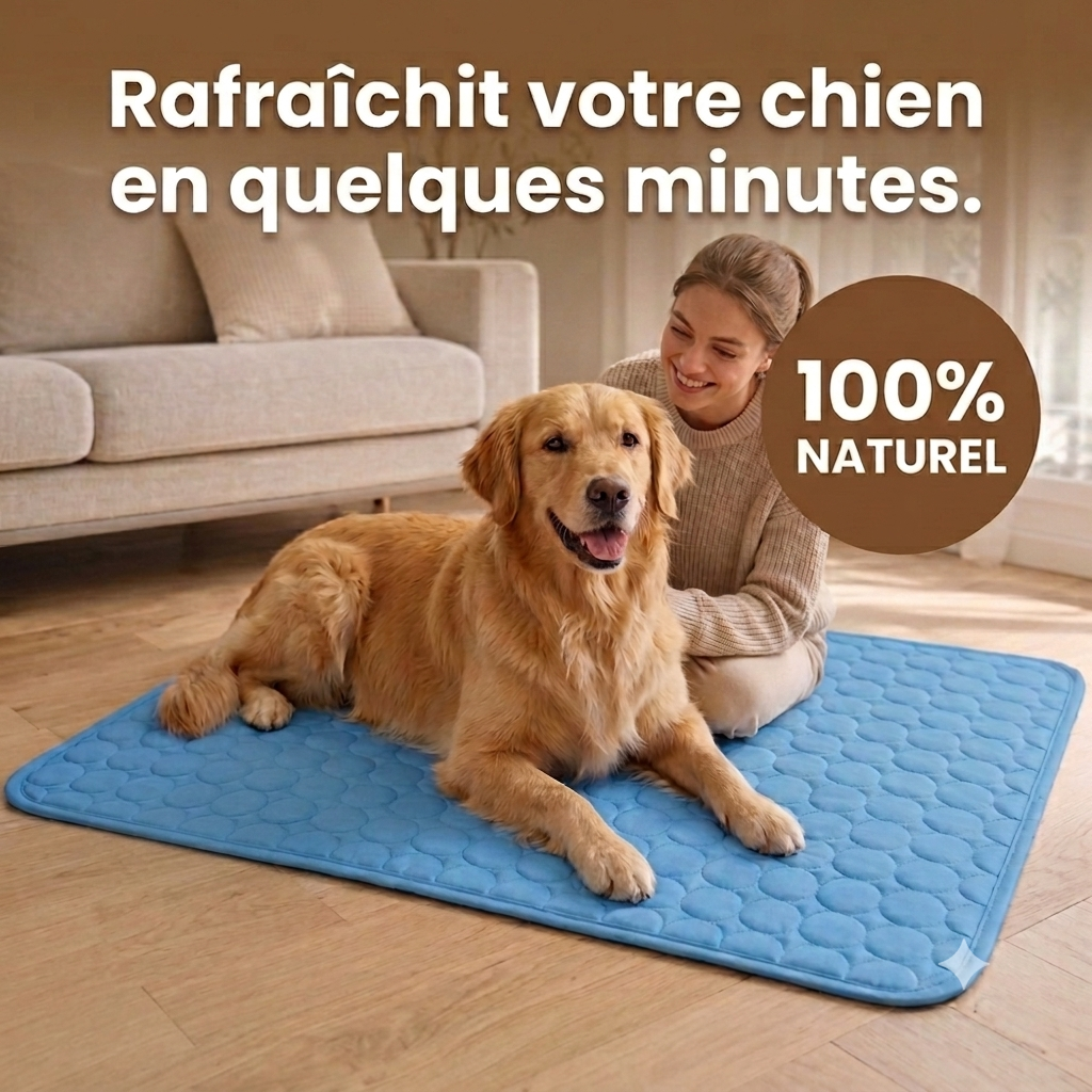 Golden retriever allongé sur le tapis rafraîchissant bleu