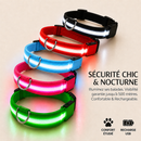 Collier Lumineux Rechargeable