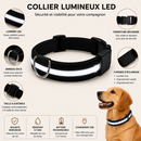 Collier Lumineux Rechargeable