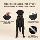 harnais pour chien
