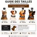 Collier Lumineux Rechargeable
