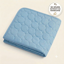Tapis rafraîchissant pour animaux
