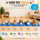 Tapis Rafraîchissant