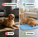 Tapis rafraîchissant pour animaux