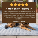 Tapis rafraîchissant pour animaux