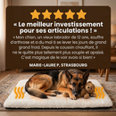 Coussin Auto-Chauffant