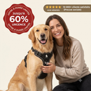 harnais pour chien