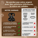 harnais pour chien
