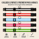 Collier Lumineux Rechargeable