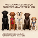 harnais pour chien