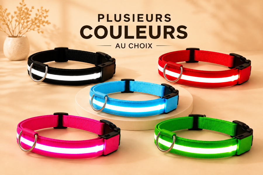 Colliers lumineux pour chien disponibles en plusieurs couleurs