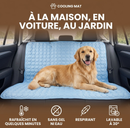 Tapis rafraîchissant pour animaux