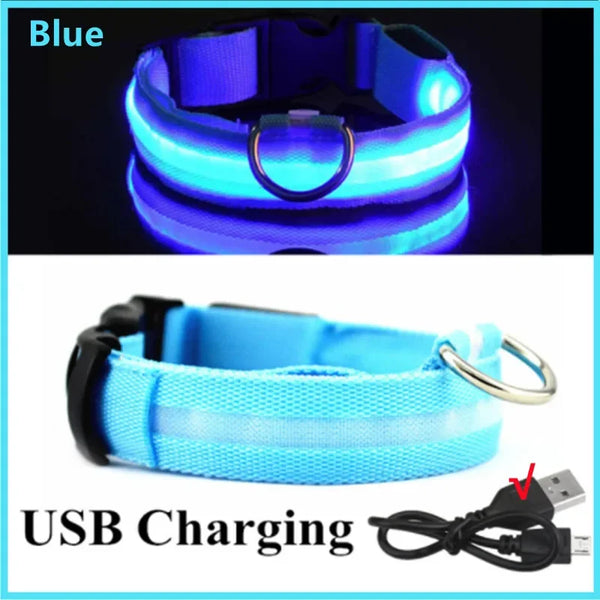 Collier lumineux pour animaux