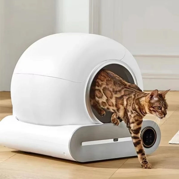 Bac à Litière pour chat