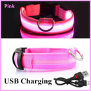 Collier lumineux pour animaux