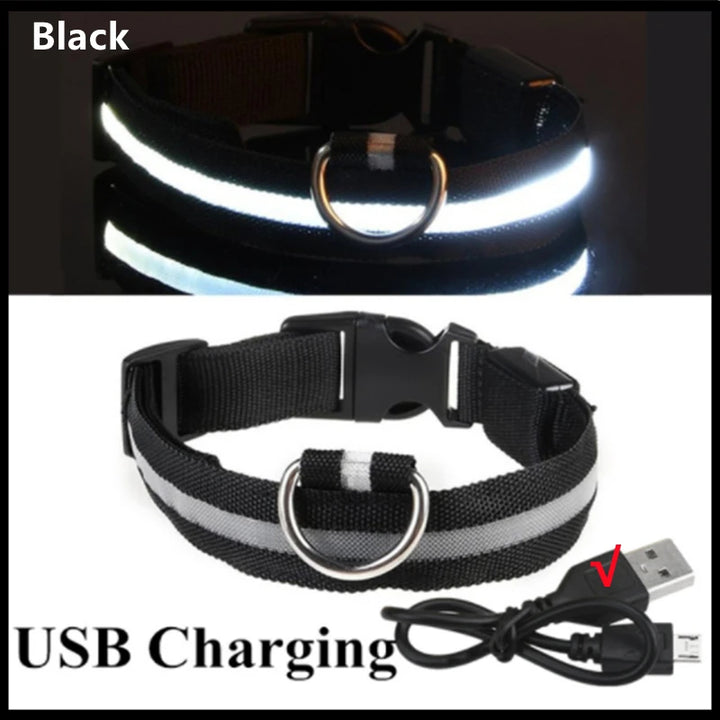 Collier lumineux pour animaux