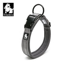 Collier pour Chien