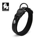 Collier pour Chien