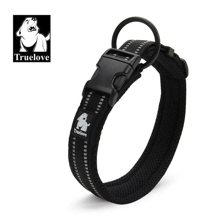 Collier pour Chien