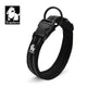 Collier pour Chien