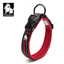 Collier pour Chien